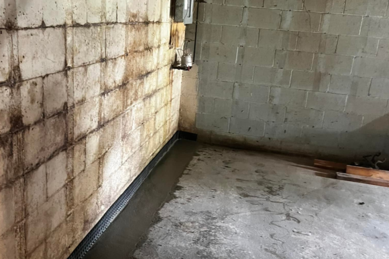 A dimly lit basement room with a wall extensively covered in dark mold, highlighting the need for waterproofing solutions.