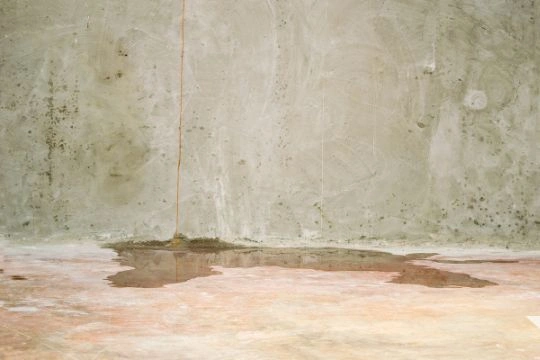 Basement Waterproofing in Donora